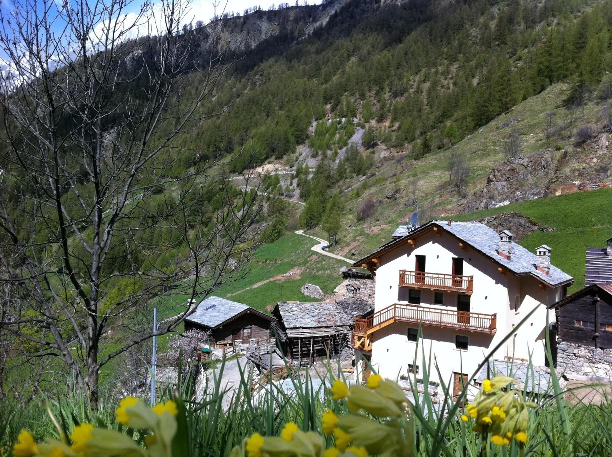 Bed and Breakfast Alpe Rebelle Bionaz Exterior foto