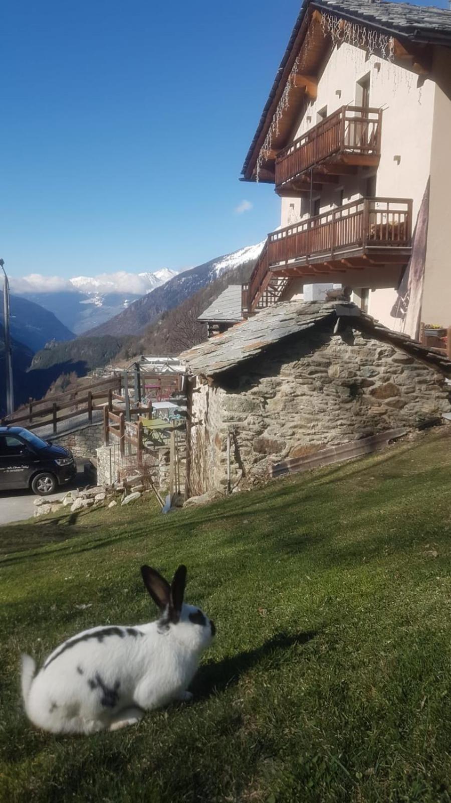 Bed and Breakfast Alpe Rebelle Bionaz Exterior foto